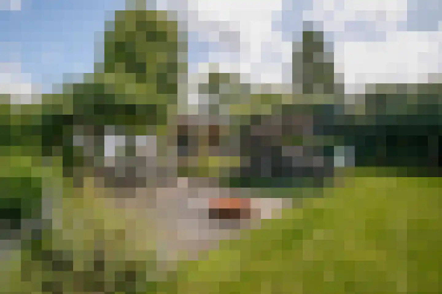Wittenburgerweg 160 Wassenaar thumbnail 55