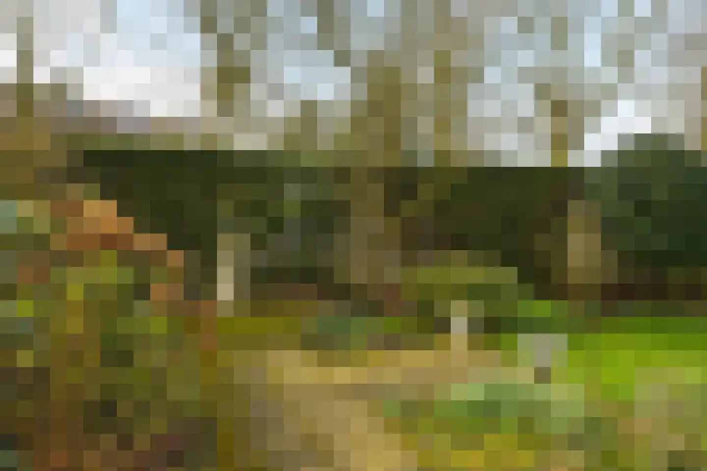 Wittenburgerweg 52 Wassenaar thumbnail 27