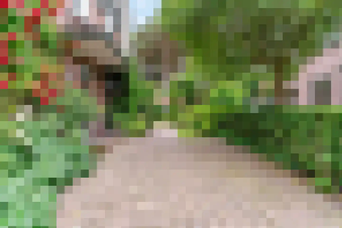 Wittenburgerweg 90 Wassenaar thumbnail 46