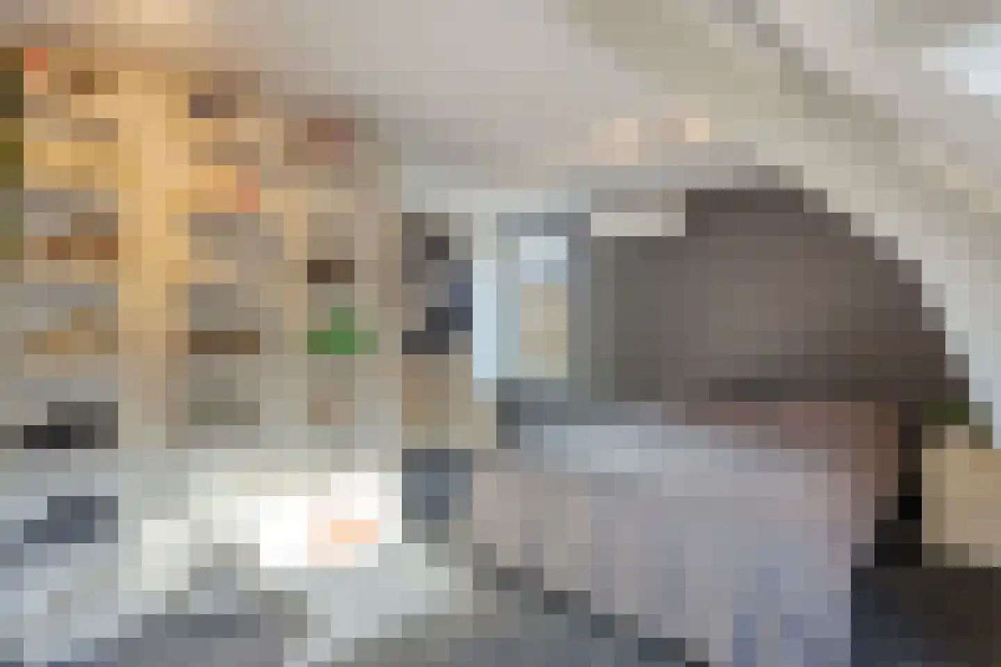 Wittenburgstraat 22 Zevenaar thumbnail 28