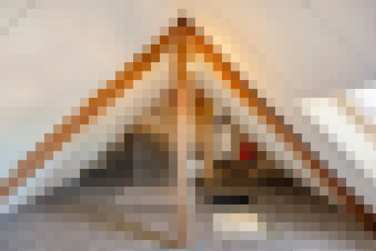 Wittenburgstraat 22 Zevenaar thumbnail 31