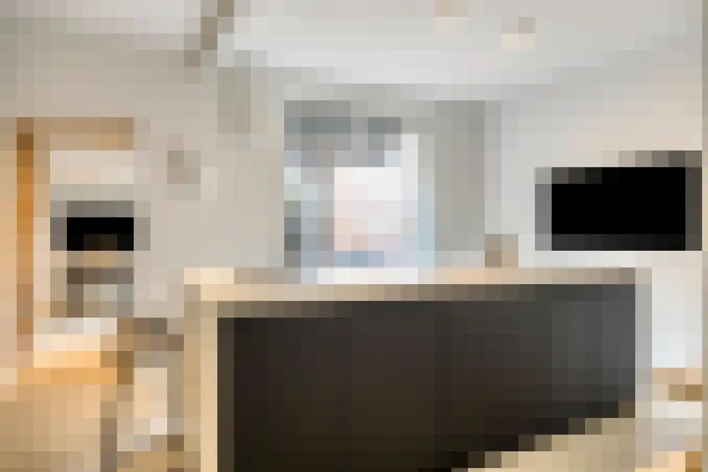 Wittenburgstraat 22 Zevenaar thumbnail 9