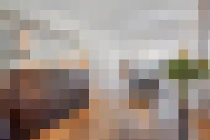 Wittendijk 13 Goirle foto 2