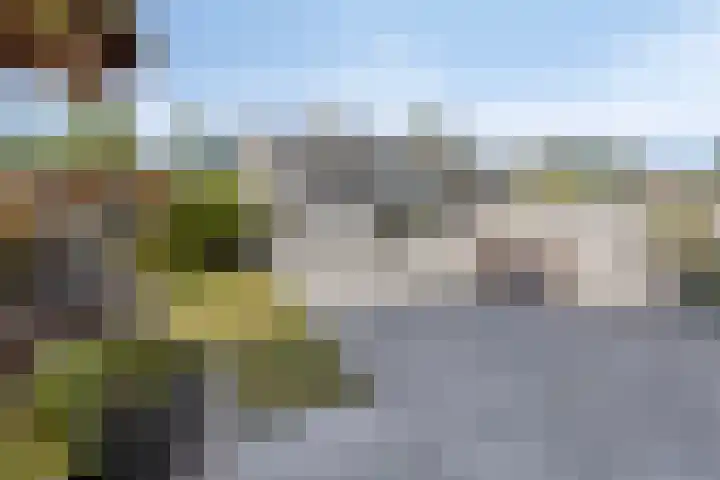 Wittendijk 13 Goirle thumbnail 32
