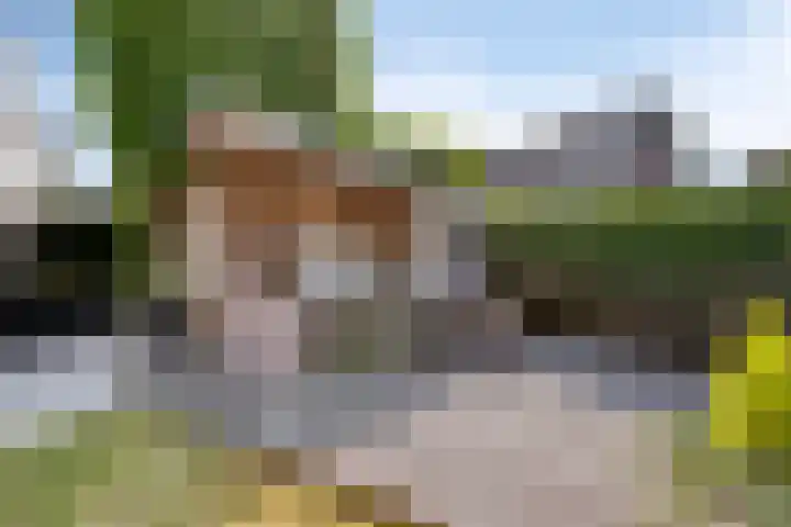 Wittendijk 13 Goirle thumbnail 37