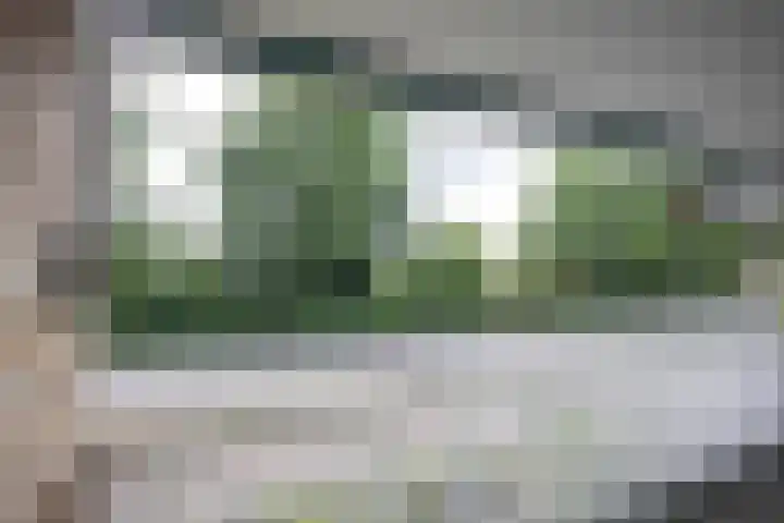Wittendijk 19 Goirle thumbnail 22