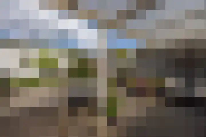 Wittendijk 19 Goirle thumbnail 30