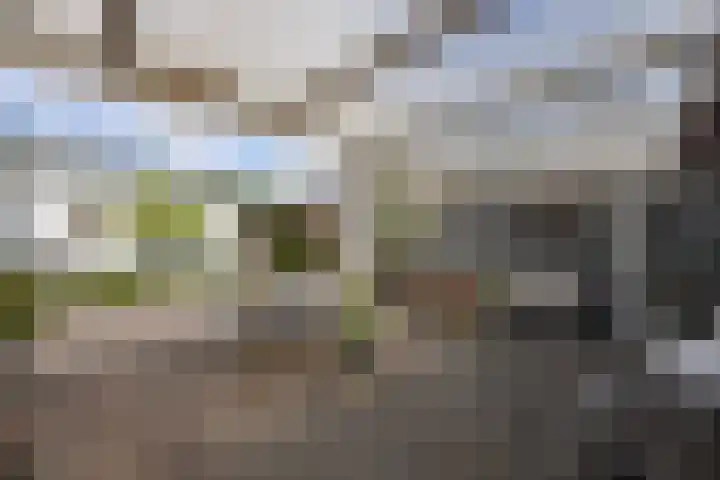 Wittendijk 19 Goirle thumbnail 35