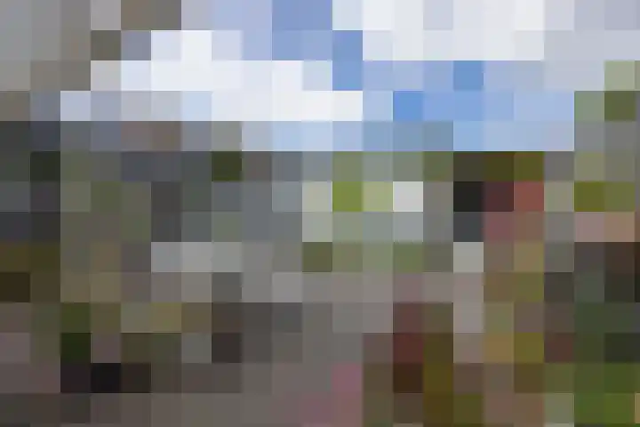Wittendijk 19 Goirle thumbnail 40