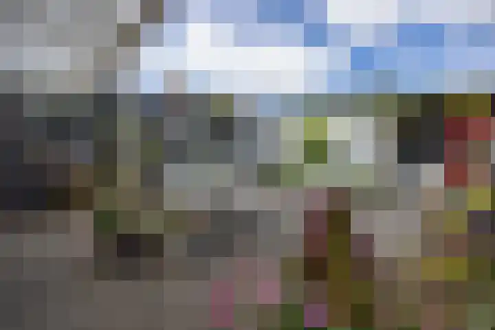 Wittendijk 19 Goirle thumbnail 41