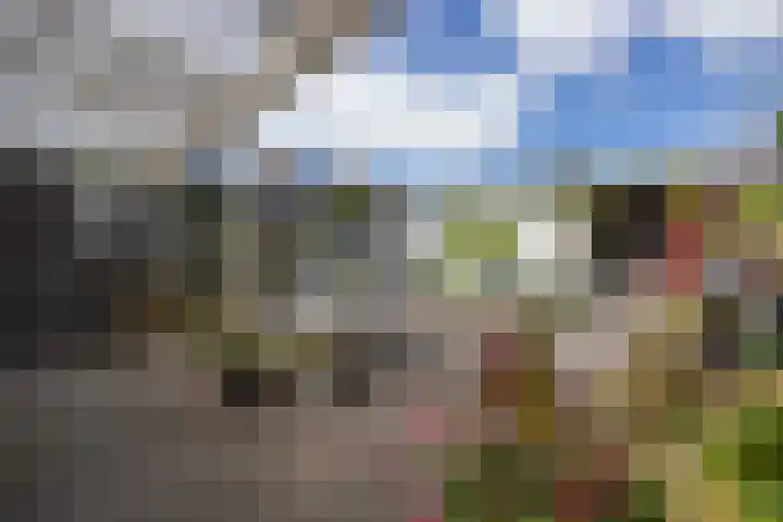 Wittendijk 19 Goirle thumbnail 43