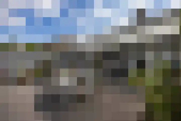 Wittendijk 19 Goirle thumbnail 46