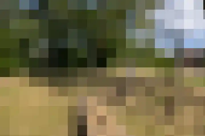 Wittendijk 19 Goirle thumbnail 52