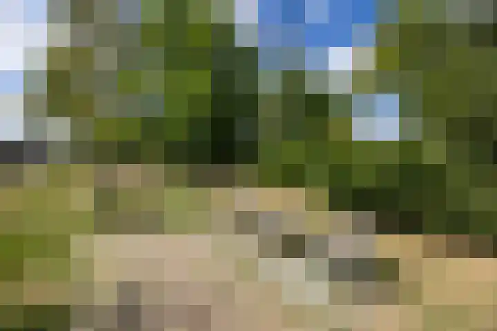 Wittendijk 19 Goirle thumbnail 53