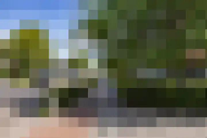 Wittendijk 19 Goirle thumbnail 55