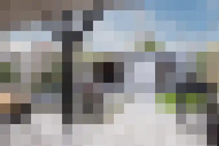 Wittendijk 68 Goirle thumbnail 31