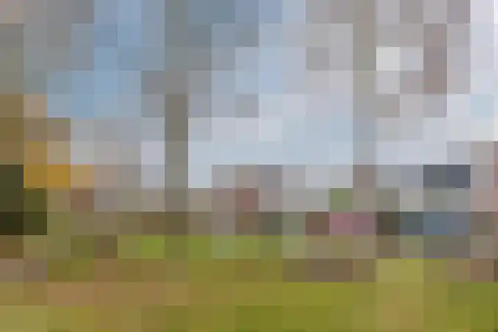 Wittendijk 68 Goirle thumbnail 40