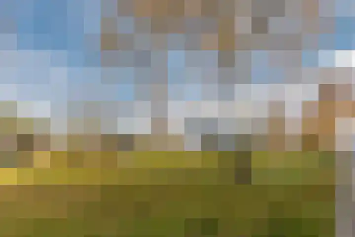 Wittendijk 68 Goirle thumbnail 42