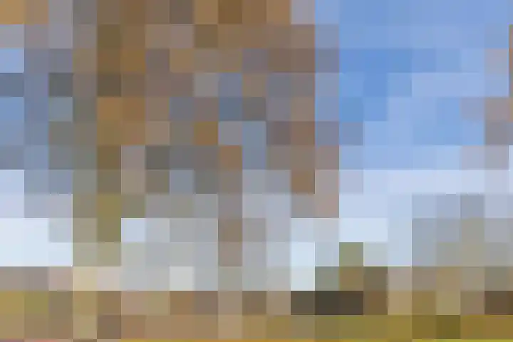 Wittendijk 68 Goirle thumbnail 43