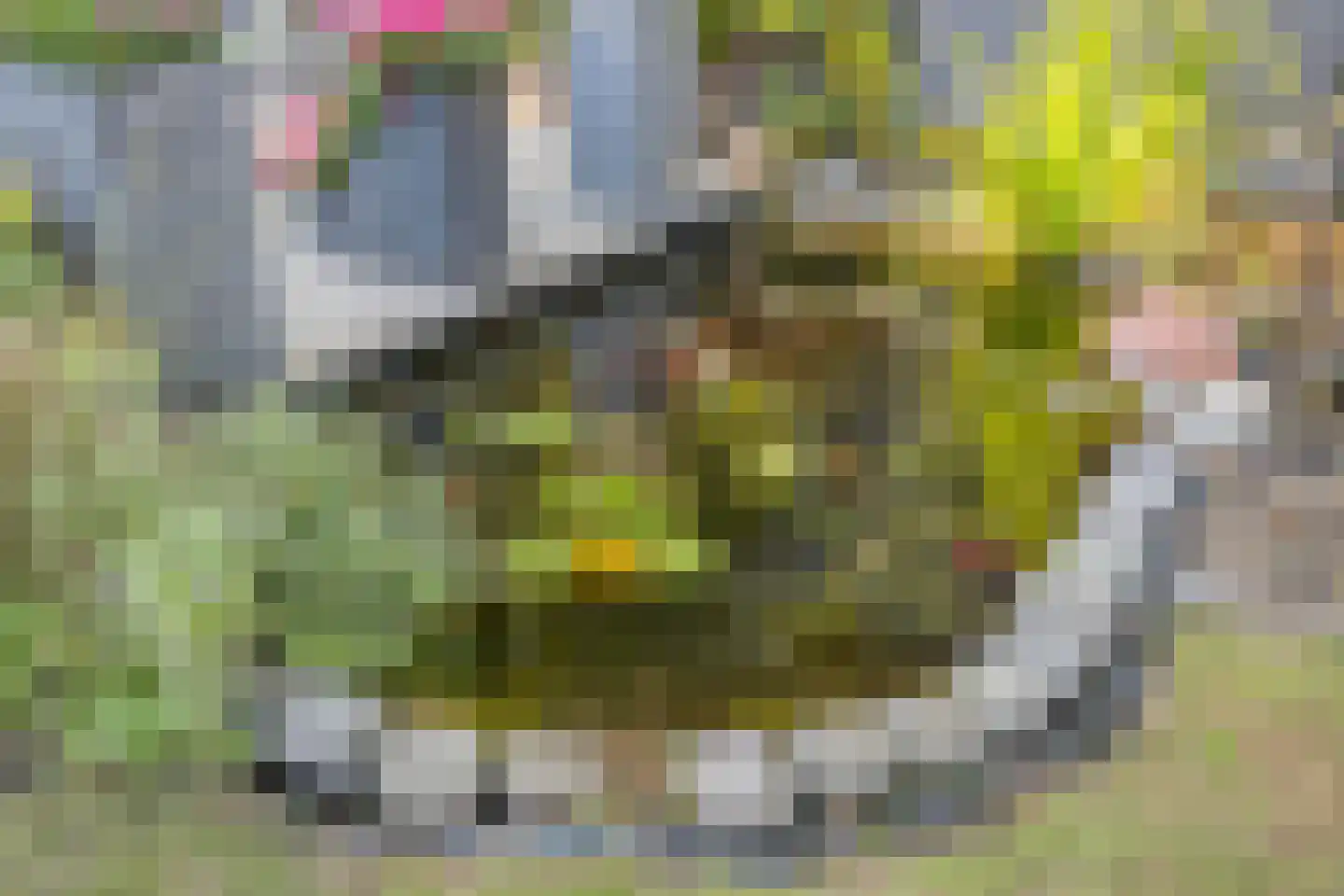 Wittendijk 7 Goirle thumbnail 44