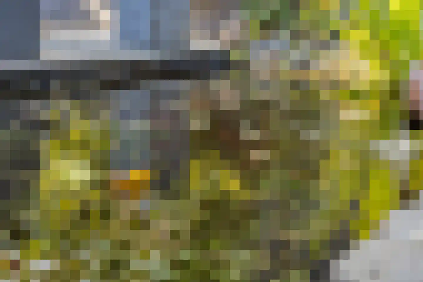 Wittendijk 7 Goirle thumbnail 45
