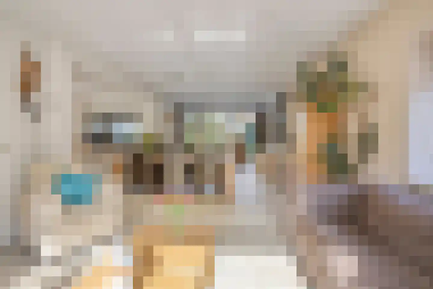 Wittendijk 7 Goirle thumbnail 5