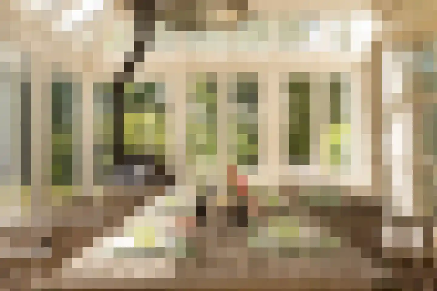 Wittenhorstlaan 8 Waalwijk thumbnail 22
