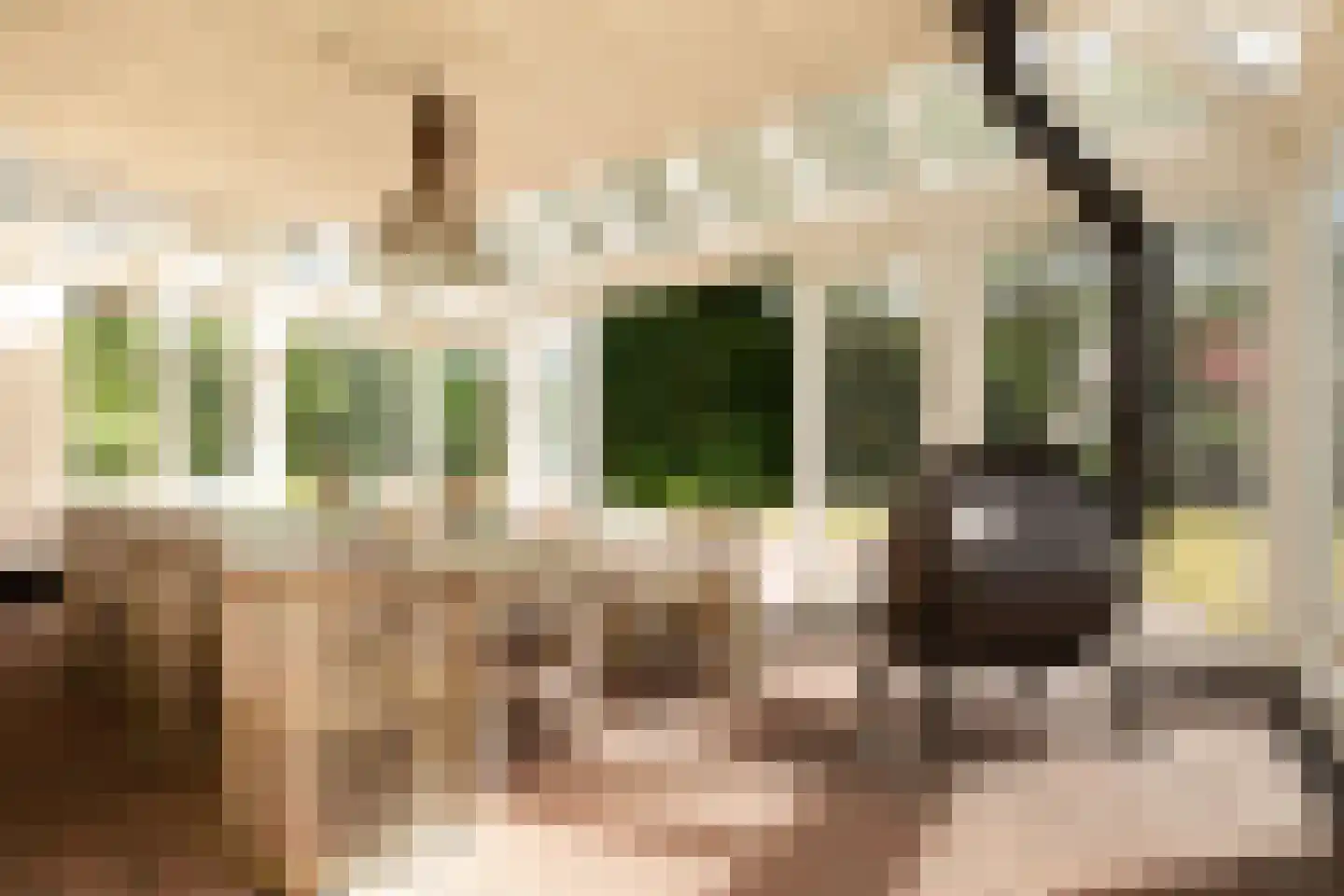 Wittenhorstlaan 8 Waalwijk thumbnail 23