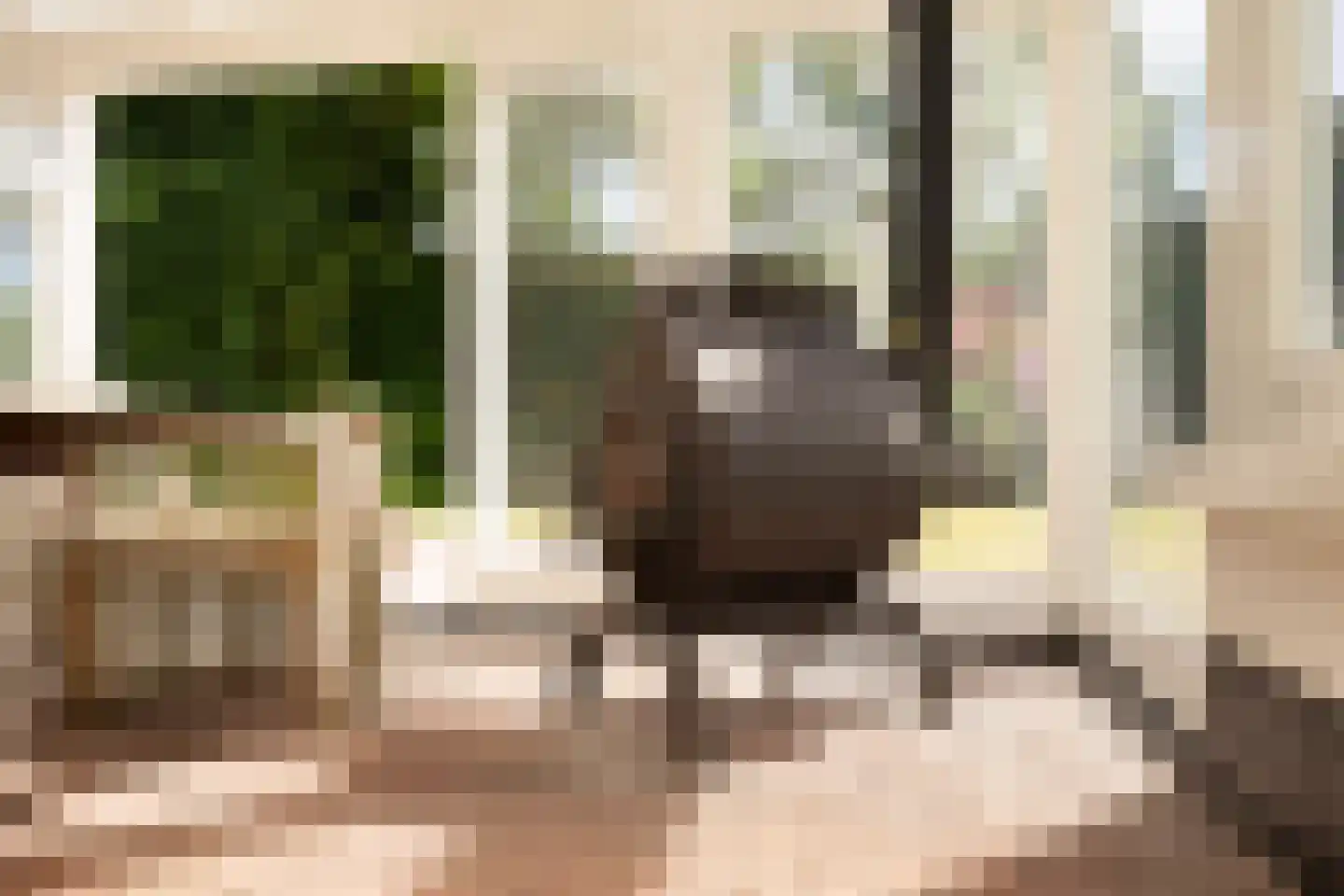 Wittenhorstlaan 8 Waalwijk thumbnail 24