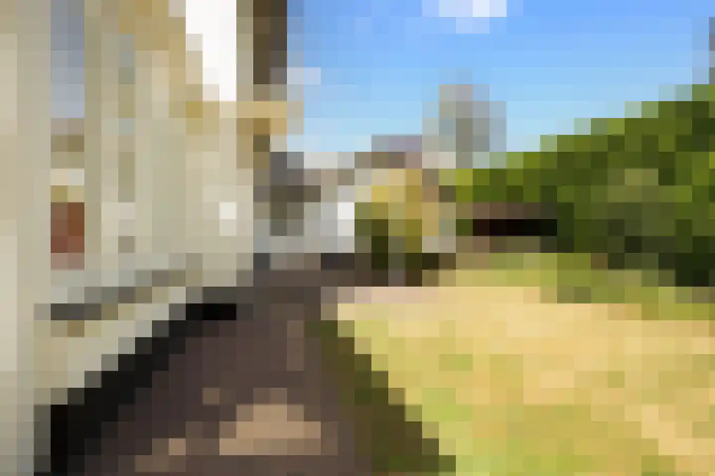 Wittenhorstlaan 8 Waalwijk thumbnail 27