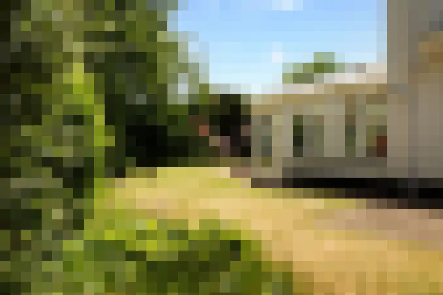 Wittenhorstlaan 8 Waalwijk thumbnail 28