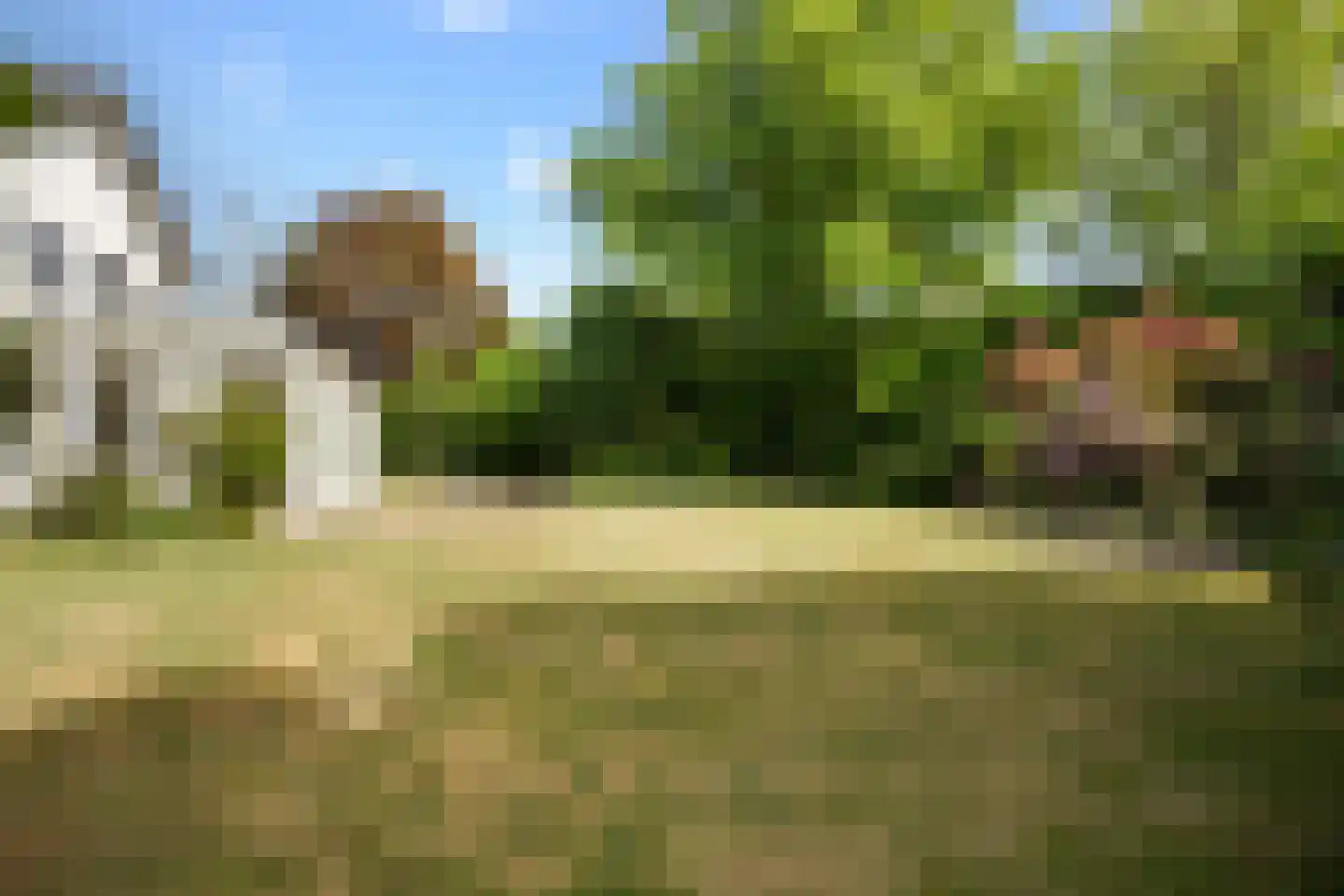Wittenhorstlaan 8 Waalwijk thumbnail 32
