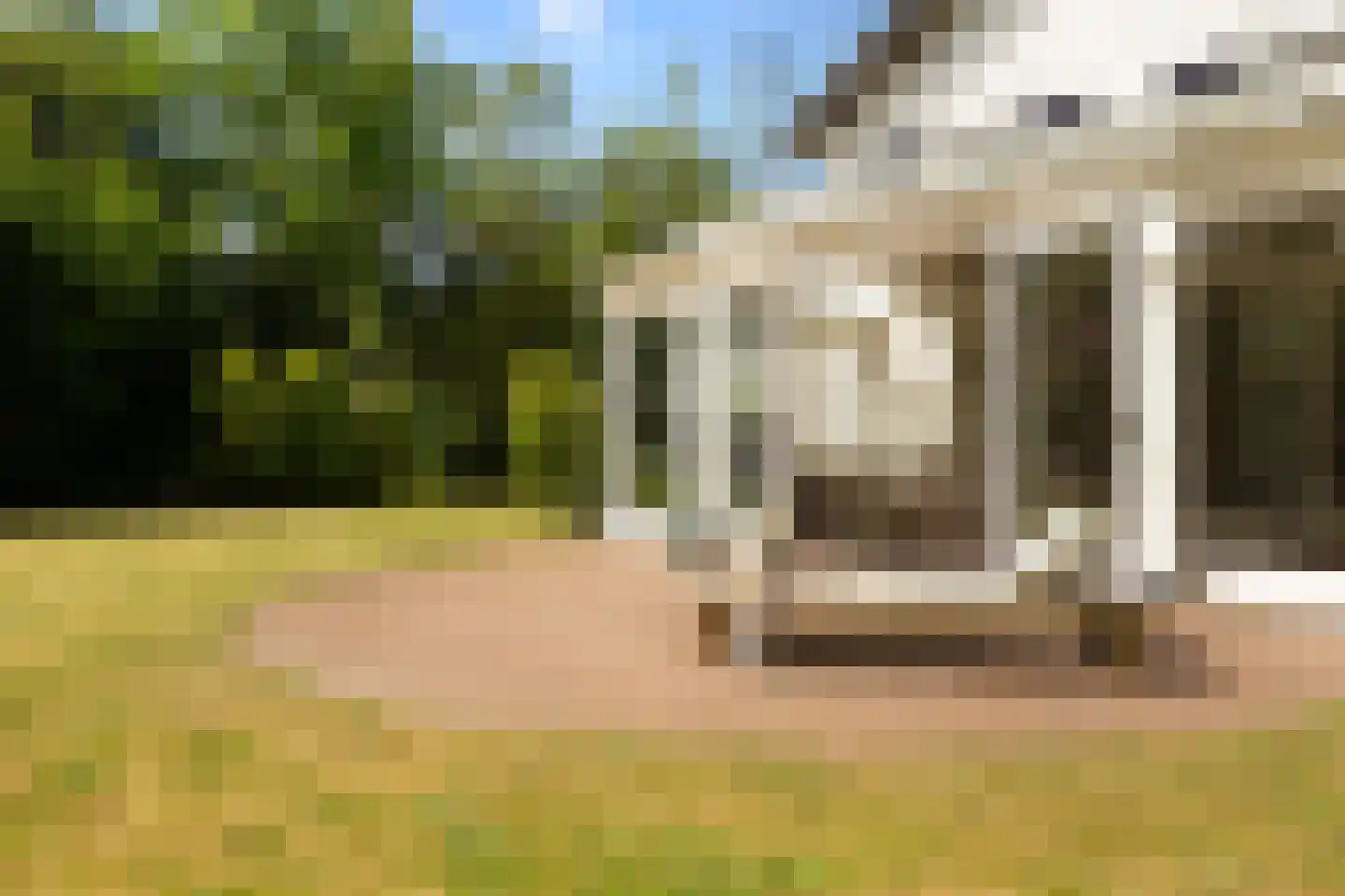 Wittenhorstlaan 8 Waalwijk thumbnail 34