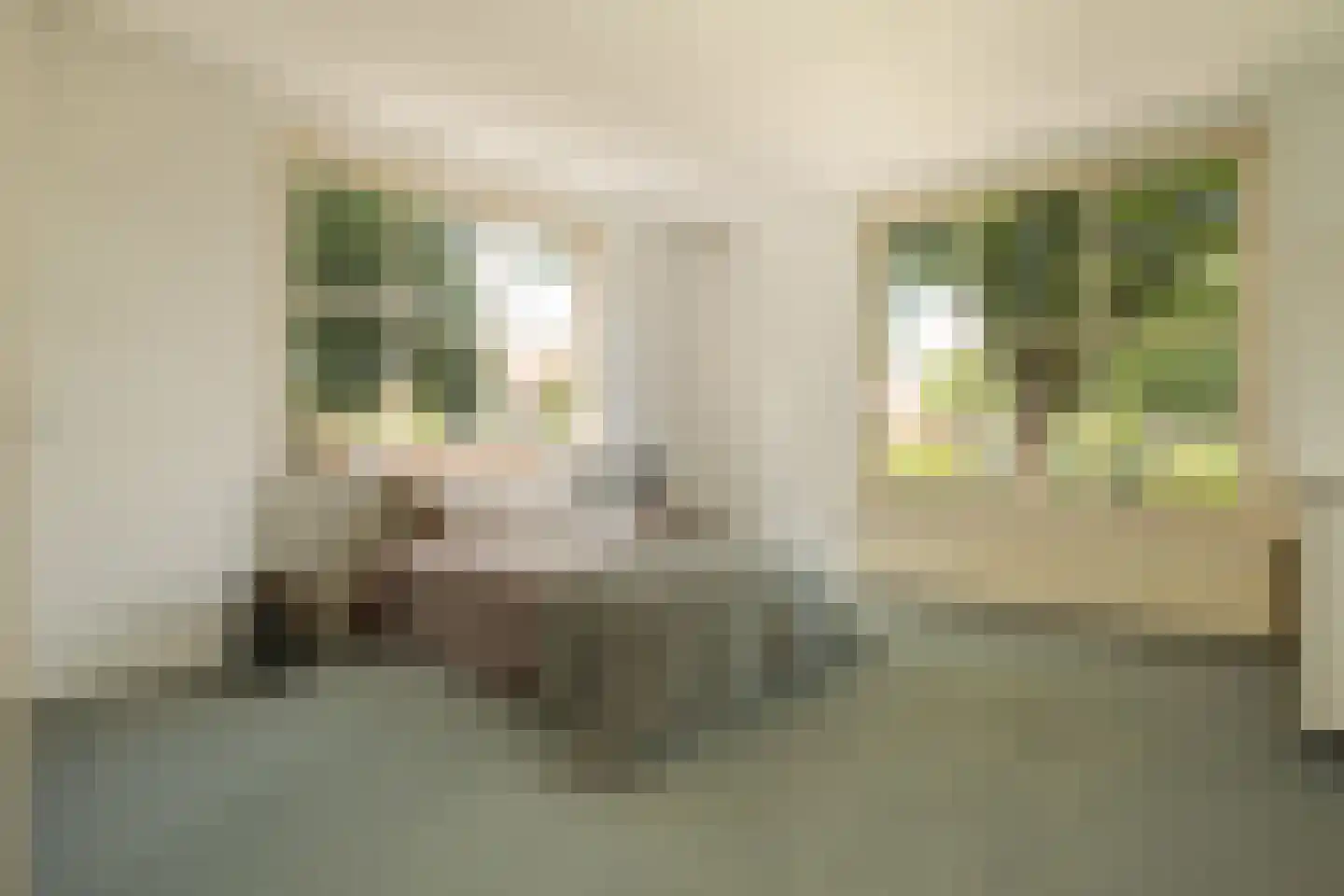 Wittenhorstlaan 8 Waalwijk thumbnail 38
