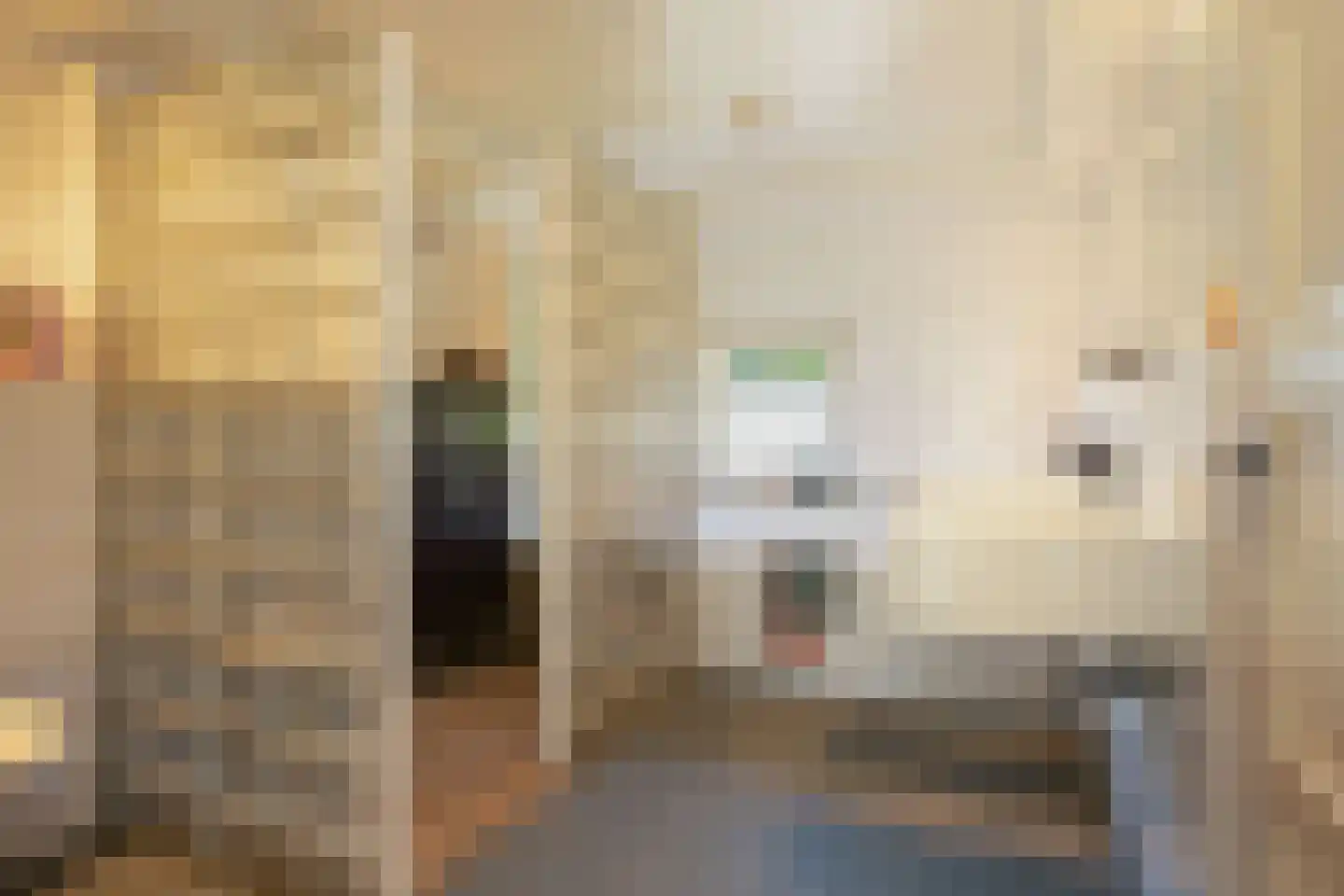 Wittenhorstlaan 8 Waalwijk thumbnail 46