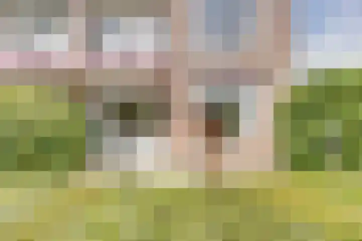 Wittenkamp 26 Ermelo thumbnail 24