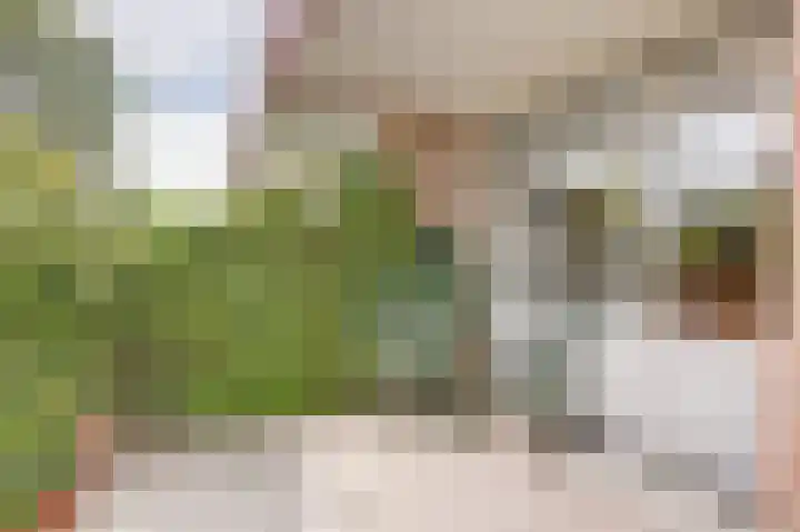 Wittenkamp 26 Ermelo thumbnail 4