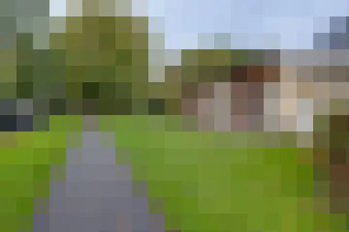 Wittenstein 1 Deventer thumbnail 38