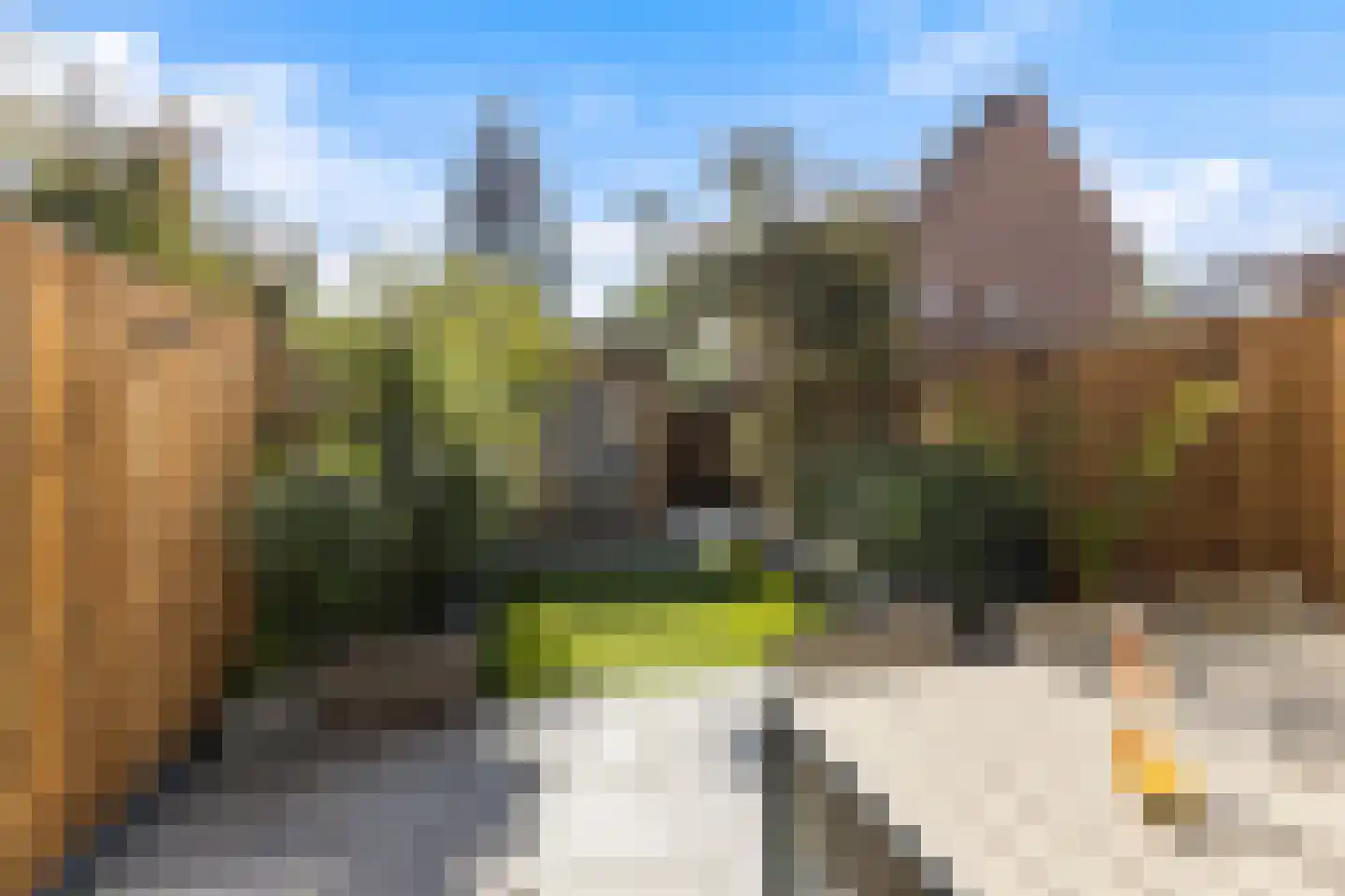 Wittenstein 178 Dordrecht thumbnail 5