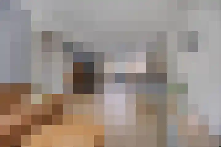 Wittenstein 200 Dordrecht thumbnail 10