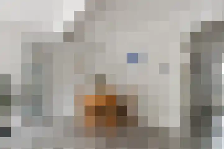 Wittenstein 213 Dordrecht thumbnail 13