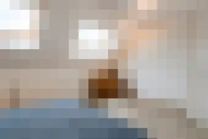 Wittenstein 213 Dordrecht thumbnail 19