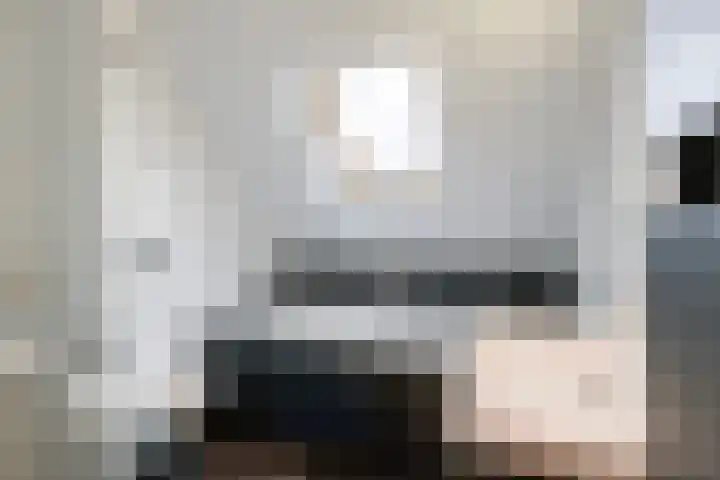 Wittenstein 213 Dordrecht thumbnail 21