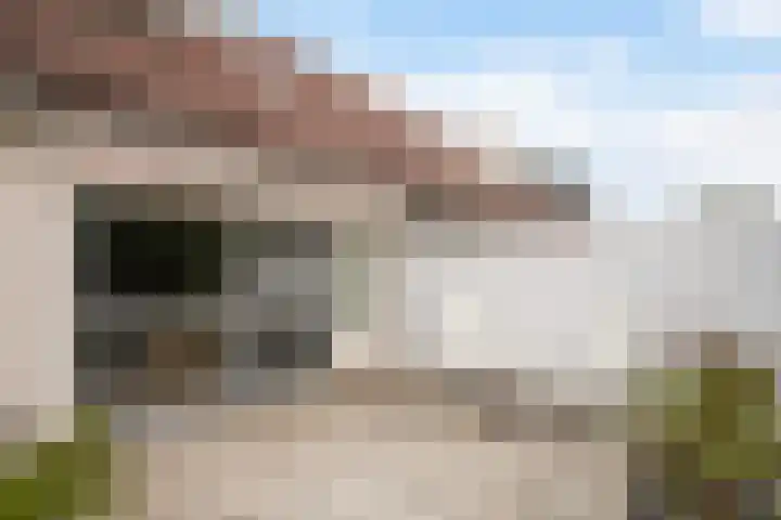 Wittenstein 213 Dordrecht thumbnail 27