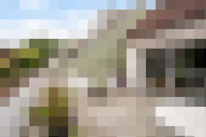 Wittenstein 213 Dordrecht thumbnail 28
