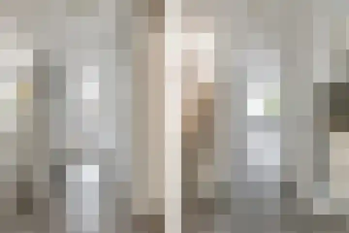 Wittenstein 213 Dordrecht thumbnail 6