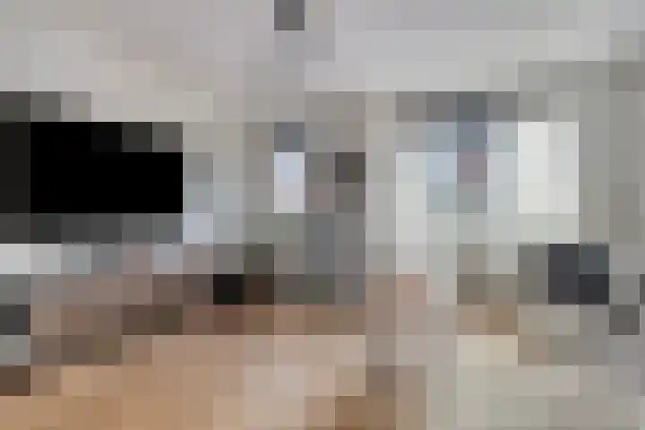 Wittenstein 3 Dordrecht thumbnail 6