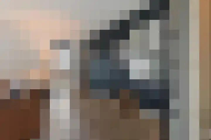 Wittenstein 5 Raalte thumbnail 10