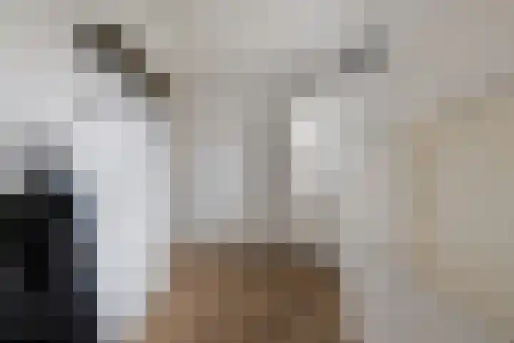 Wittenstein 5 Raalte thumbnail 21