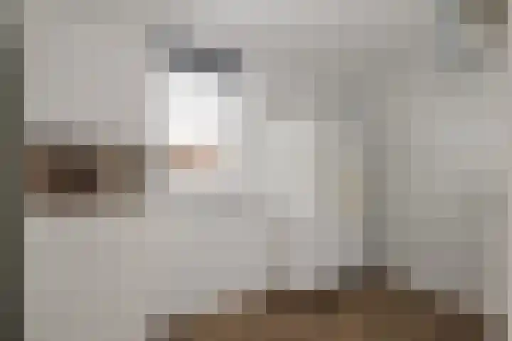 Wittenstein 5 Raalte thumbnail 22